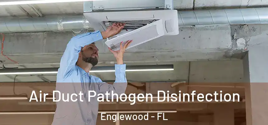 Air Duct Pathogen Disinfection Englewood - FL