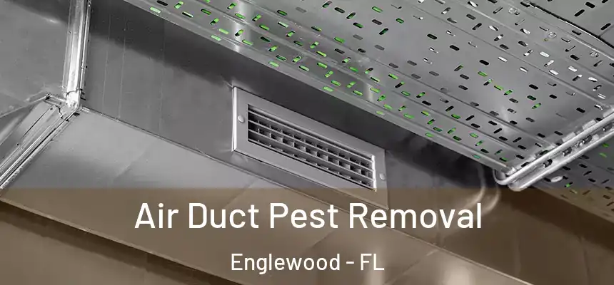  Air Duct Pest Removal Englewood - FL
