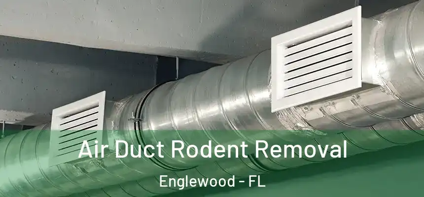Air Duct Rodent Removal Englewood - FL