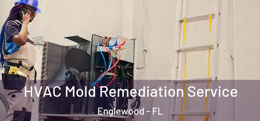  HVAC Mold Remediation Service Englewood - FL