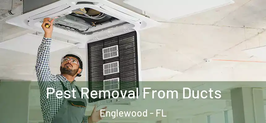 Pest Removal From Ducts Englewood - FL