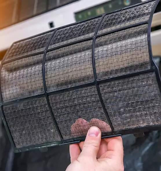 About Pet Dander Duct Cleaning in Englewood, FL